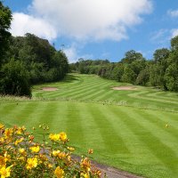 Naas Golf Club(@NaasGC) 's Twitter Profile Photo