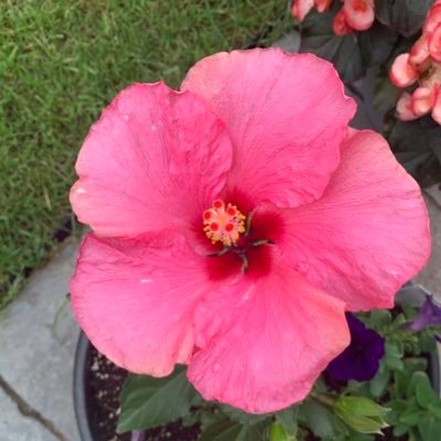 jassymal02's profile picture. Contest lover! #the6ix #contests #giveaways #toronto #canada #travel #tourism