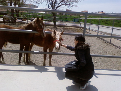 FNPD__'s profile picture. sessizlik...