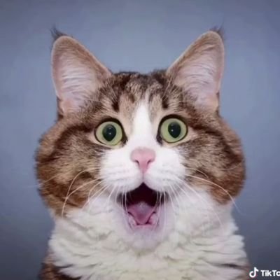 MBm83564787's profile picture. 