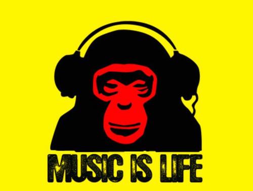 mrrooligan's profile picture. Hoe langer je leeft, hoe korter het duurt...