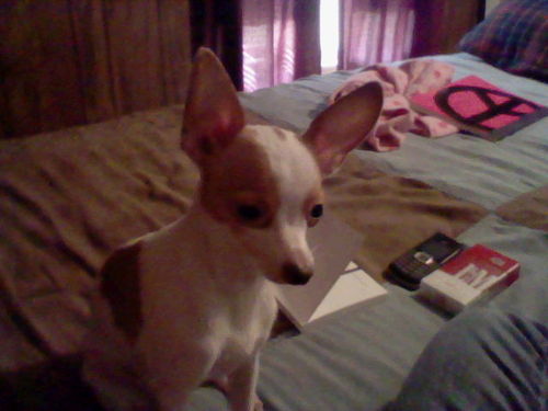 my name is tatum lineberry i have 5 great kids and a wounderful boyfriend who completes me . my life is almost perfect.