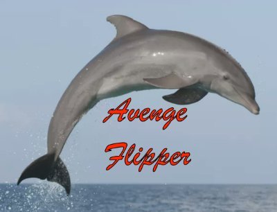 Me - Avenging Flipper