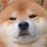 Akashi (@akashispor) 's Twitter Profile