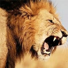 Natasha42478617's profile picture. 