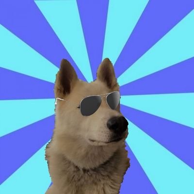 RubyBark's profile picture. bark