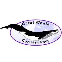 GreatWhaleConservancy (@gwcwhale) 's Twitter Profile Photo GreatWhaleConservancy (@gwcwhale) 's Twitter Profile Photo