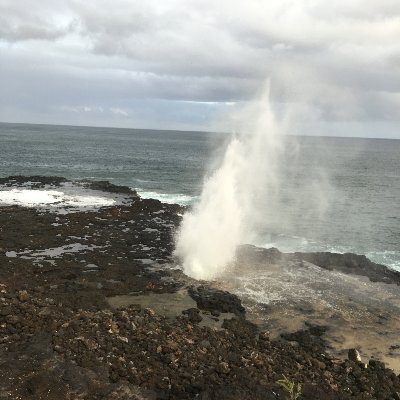 thesundars's profile picture. Aspiring Data Scientist. All views are my own!