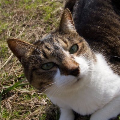 mac_sasa's profile picture. 