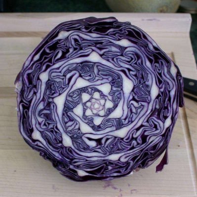 anti-capitalist pro-love musician learning to farm and produce food sustainably #BLM