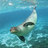 LoveForSeals's profile image