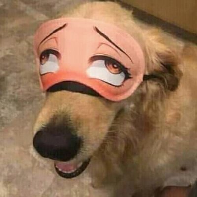 I love furrys, yaoi, animes,kpop, write fanfics, doramas :3 
I am from Brazil 
I have 17 years old ^^
Pansexual 
Sargitariana