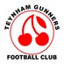 Teynham Gunners (@teynhamgunners) Twitter profile photo