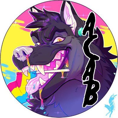 Swirly Eyed Shepさんのプロフィール画像