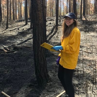 Postdoctoral Research Associate, wildFIRE Lab, University of Exeter. Research interests in modern day and palaeo wildfires.