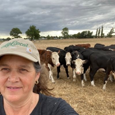 Cooperative Extension Livestock Advisor, UC Berkeley PhD Candidate, Researching Sustainability for Rangelands, Pastoralists, and Livestock Production.