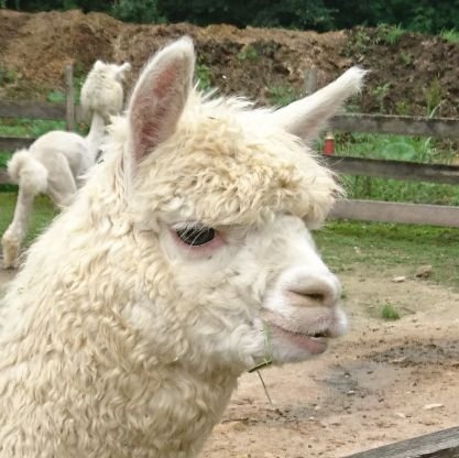 思ったより沼が深くてな。さんのプロフィール画像