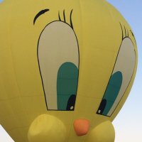 Catherine Rehder (@rehdercatherine) 's Twitter Profile