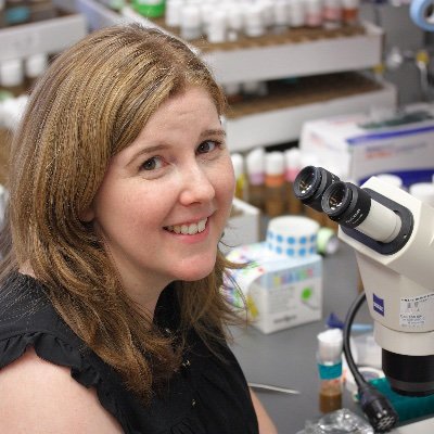 megancphd's profile picture. Neuroscientist, fly pusher, glia enthusiast.