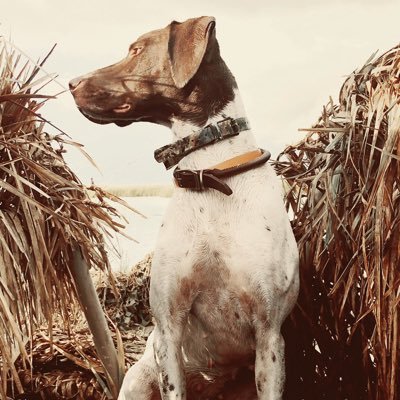 junction_lan's profile picture. Junction-Sabine River-Heybo Outdoors-Titan Tungsten-Falcon hooks #MudCreekHuntsGunDogs