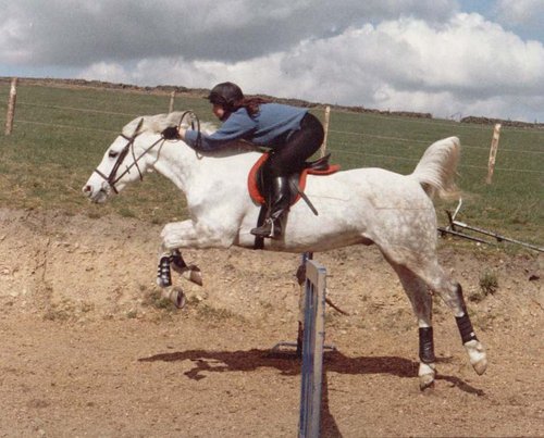 SjMaskell's profile picture. very, very tired.