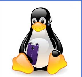 tinavzg's profile picture. 