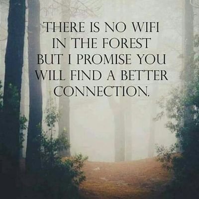 Mandouks13's profile picture. Iam not a sheep I will resist...