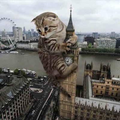 EDonikyan's profile picture. 