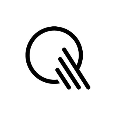 The Q Profile