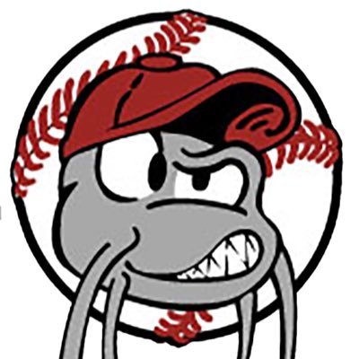 Chillicothe Mudcats Profile