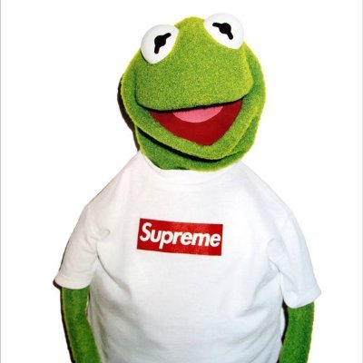 I'm just a frog :) 

Kidding, kermit is my favourite character from childhood :) 

I like food, skateboarding and movies. Also a shoe collector.