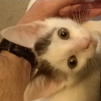 Proteger3's profile picture. 