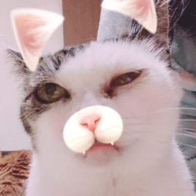 sugar_tkk's profile picture. 