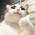 Powages (@powages1) Twitter profile photo Powages (@powages1) Twitter profile photo