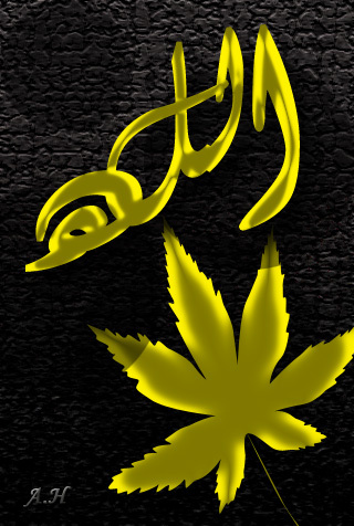 ahmed3_3's profile picture. 