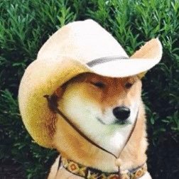 hentaibiotic's profile picture. da simpsons movie