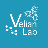 Velian Research Group (@veliangroup) 's Twitter Profile