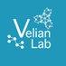Velian Research Group (@veliangroup) Twitter profile photo Velian Research Group (@veliangroup) Twitter profile photo