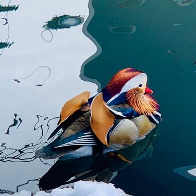 linda_cccc's profile picture. 