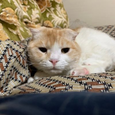 Maru 切ない 大恋愛の続きはtverで 来週からは剛 源コンビ楽しみです Maru 切ない 大恋愛の続きはtverで 来週からは剛 源コンビ楽しみです
