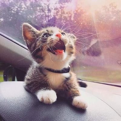 cloudsandsmiles's profile picture. Mi vida no es interesante ni aquí ni en la vida real.
No diré siganme no se arrepentirán, porque talvez lo hagan.