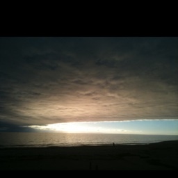 Pinnedmonkey's profile picture. 