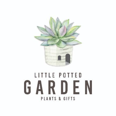 #Miniature #plants & delightful #gifts 🌱
Designed & made with 💚 in #NewZealand
Nationwide Shipping 📦
https://t.co/vvxHlDTPML