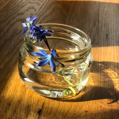 ReanneViken's profile picture. 