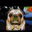 lovemyboys2120's profile image