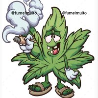 🍁 CANÁBICO 🍁 (@fumeimuito) 's Twitter Profile Photo 🍁 CANÁBICO 🍁 (@fumeimuito) 's Twitter Profile Photo
