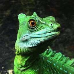 ropeburns7's profile picture. My pronouns: I, me. My adjectives: grizzled, surly. My adverbs: reluctantly, begrudgingly.