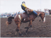 RawhideArena's profile picture. Rawhide Arena and Saloon