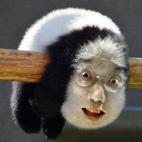 倒立する世界 (@yougen_no2) 's Twitter Profile