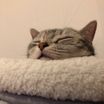 okataka0131's profile picture.